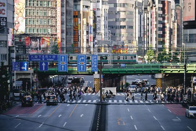 Anita.Tokyo Premium Domain